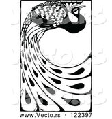 Vector of Black and White Peacock with Long Feathers by Prawny Vintage