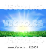 Vector of Bright Sun Shining over Green Grass by AtStockIllustration