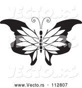 Vector of Butterfly with Petal Patterned and Face Tipped Wings - Black and White Version by Lal Perera