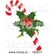 Vector of Cartoon Christmas Peppermint Candy Cane with Holly by Pushkin
