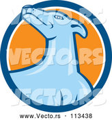 Vector of Cartoon Greyhound Dog in a Blue White and Orange Circle by Patrimonio