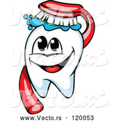 Vector of Cartoon Happy Tooth Mascot and Brush by Vector Tradition SM