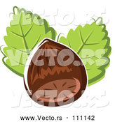 Vector of Cartoon Hazelnut and Leaves by Vector Tradition SM