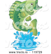 Vector of Cartoon Leaping Green Bass Fish by Visekart