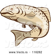 Vector of Cartoon Rainbow Trout Fish by Patrimonio