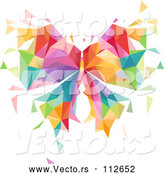 Vector of Colorful Geometric Butterfly by BNP Design Studio