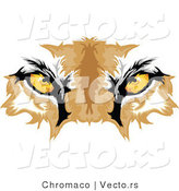 Vector of Cougar Eyes by Chromaco