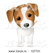 Vector of Curious Jack Russell Puppy Dog by Oligo