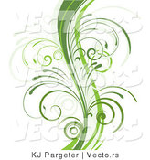Vector of Curvy Organic Green Vines with Young Curly Stems - Background Border Design Element by KJ Pargeter