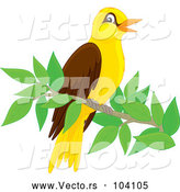 Vector of Cute Oriole Bird Perched on a Branch by Alex Bannykh