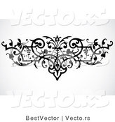 Vector of Elegant Vines Border Design Element - Black and White Version by BestVector