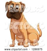 Vector of Fawn Boxer or Mastiff Dog Sitting by