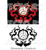 Vector of Flamed Volleyballs by Chromaco