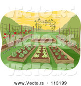 Vector of Garden of Raised Beds with Vegetables by BNP Design Studio
