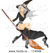 Vector of Gray Haired White Witch Lady Flying on a Broomstick by BNP Design Studio