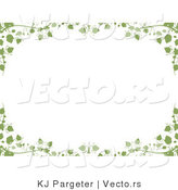 Vector of Green Ivy Vines and Leaves - Background Border Design by KJ Pargeter