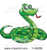 Vector of Green Phython Snake by Vector Tradition SM