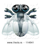 Vector of House Fly Bug by AtStockIllustration