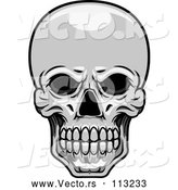 Vector of Human Skull - Grayscale Theme by Vector Tradition SM