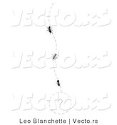 Vector of Line of Ants Following a Path to an Unknown Area Marked with a Questionmark by Leo Blanchette