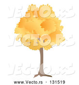 Vector of Oak Tree with Autumn Foliage Leaves in the Fall by Rasmussen Images