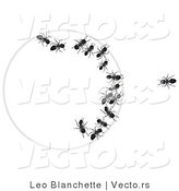 Vector of One Ant Looking at Group of Ants Trapped Within a Circle by Leo Blanchette