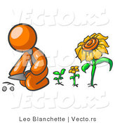 Vector of Orange Guy Kneeling by Growing Sunflowers to Plant Seeds in a Dirt Hole in a Garden by Leo Blanchette