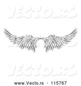 Vector of Pair of Black and White Angel or Eagle Wings by AtStockIllustration