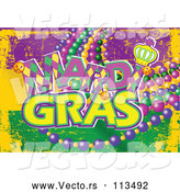 Vector of Purple Yellow and Green Mardi Gras Flag Background with Text and Beads by Pushkin