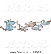 Vector of Rats Racing by Toonaday