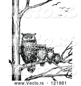 Vector of Retro Vintage Black and White Family of Owls in a Tree by Prawny Vintage