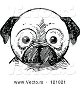 Vector of Retro Vintage Black and White Pug Dog Face by Prawny Vintage