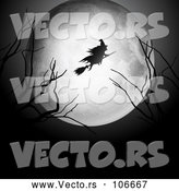 Vector of Silhouetted Witch Flying on a Broomstick over a Full Moon, with Bare Branches by KJ Pargeter