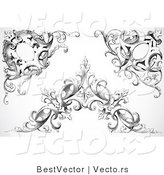 Vector of Three Unique Black Floral Vines with Leaves - Digital Collage Corner Border Elements by BestVector