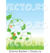 Vector of Tomatoes Growing on Green Vine with Tall Grass Against Blue Sky Background by Elaineitalia