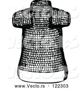 Vector of Vintage Black and White Ancient Chainmail Coat 1 by Prawny Vintage