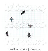Vector of Worker Ants on Graph Paper with Calculations by Leo Blanchette