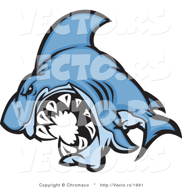 Cartoon Vector of a Cartoon Blue Shark Mascot Attacking