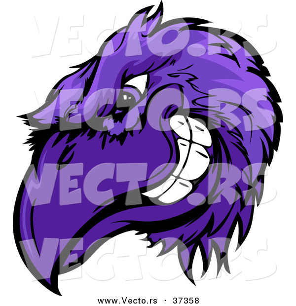 Cartoon Vector of a Competitive Purple Cartoon Raven Mascot Head Grinning