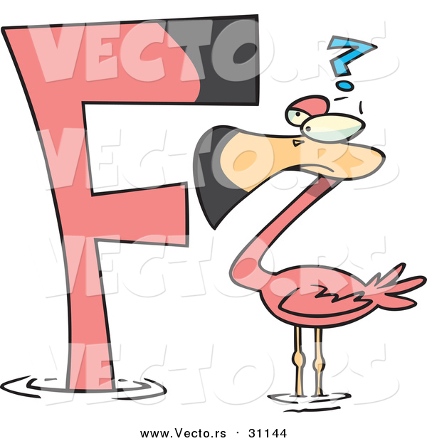 Cartoon Vector of a Confused Flamingo Facing the Alphabet Letter 'F'
