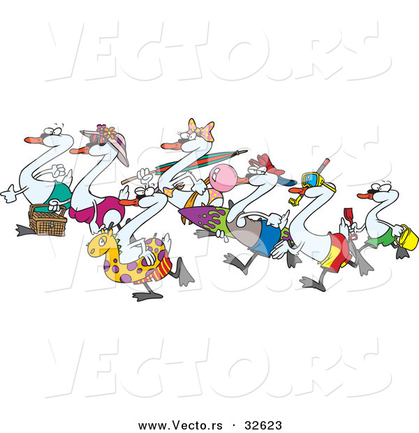 Cartoon Vector of Seven Swans Going Swimming