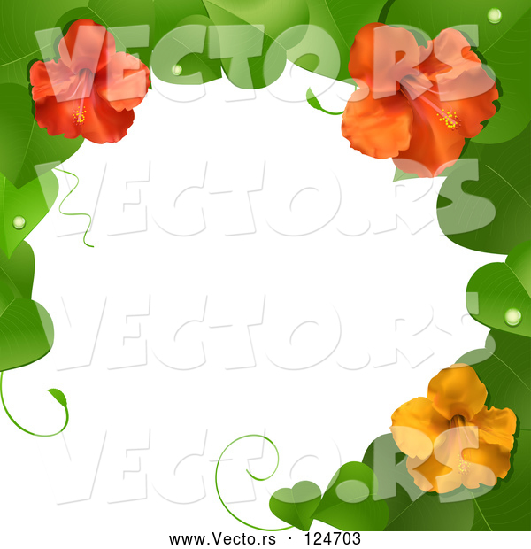 Vector of 3d Hibiscus Flower and Leaves Border