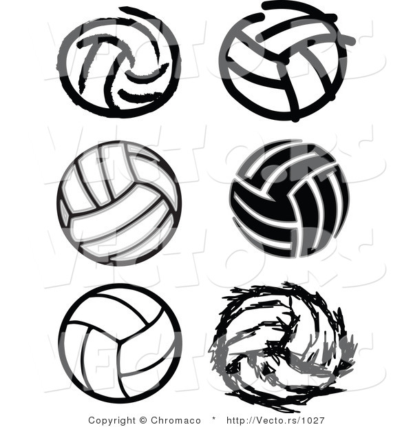 Vector of 6 Unique Volleyballs - Black and White