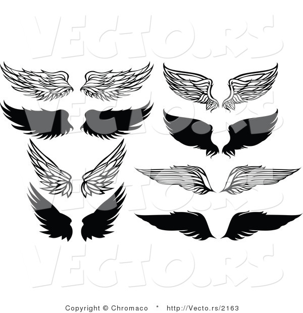 Vector of 8 Unique Feathered Wings - Black and White Designs