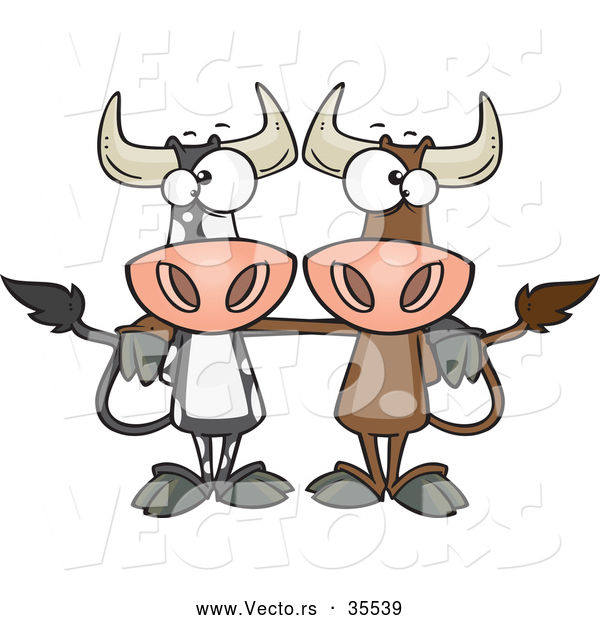 Vector of a 2 Cartoon Bull Cows Posing Together