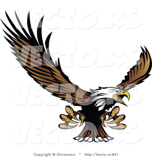Vector of a Bald Eagle Reaching out with Claws While Flying