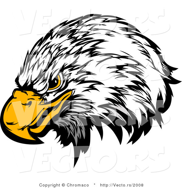 Vector of a Bald Eagle with Intimidating Eyes