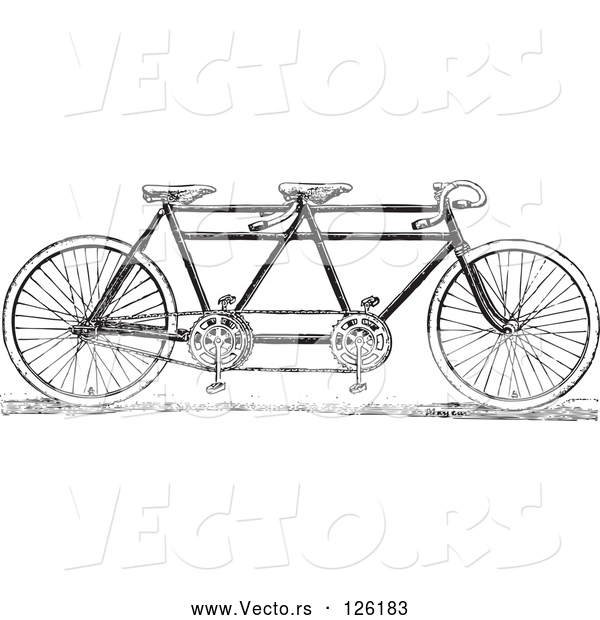 Vector of a Black and White Tandem Bicycle