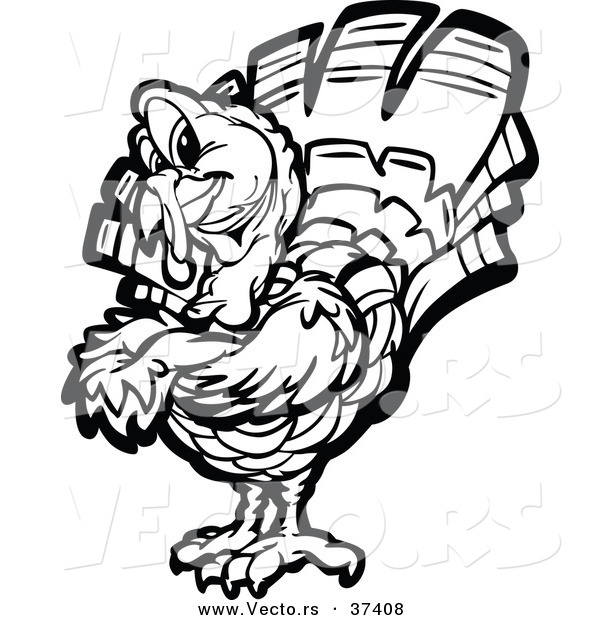 Vector of a Black and White Turkey Mascot with Folded Arms - Line Art