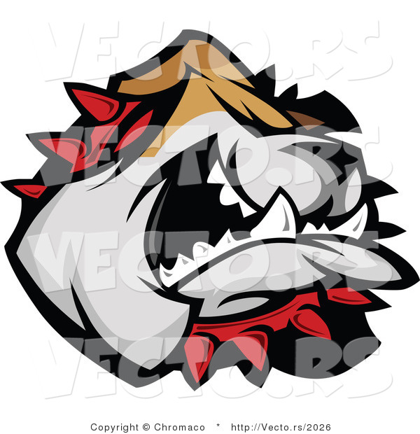 Vector of a Bulldog Wearing Red Spike Coller While Attacking